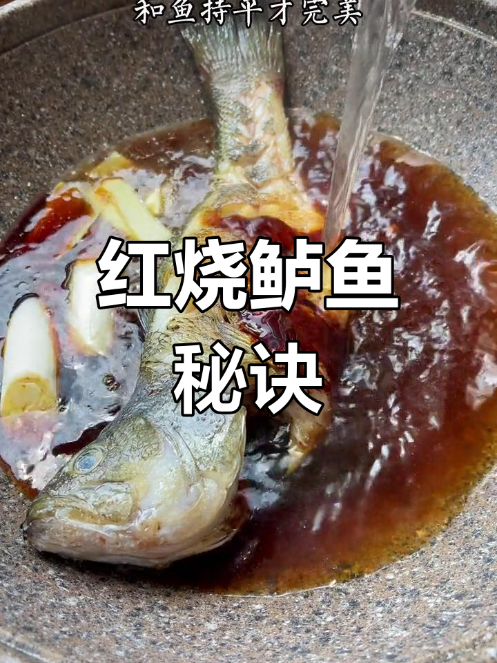 新鲜河鲈鱼红烧做法,去腥又美味