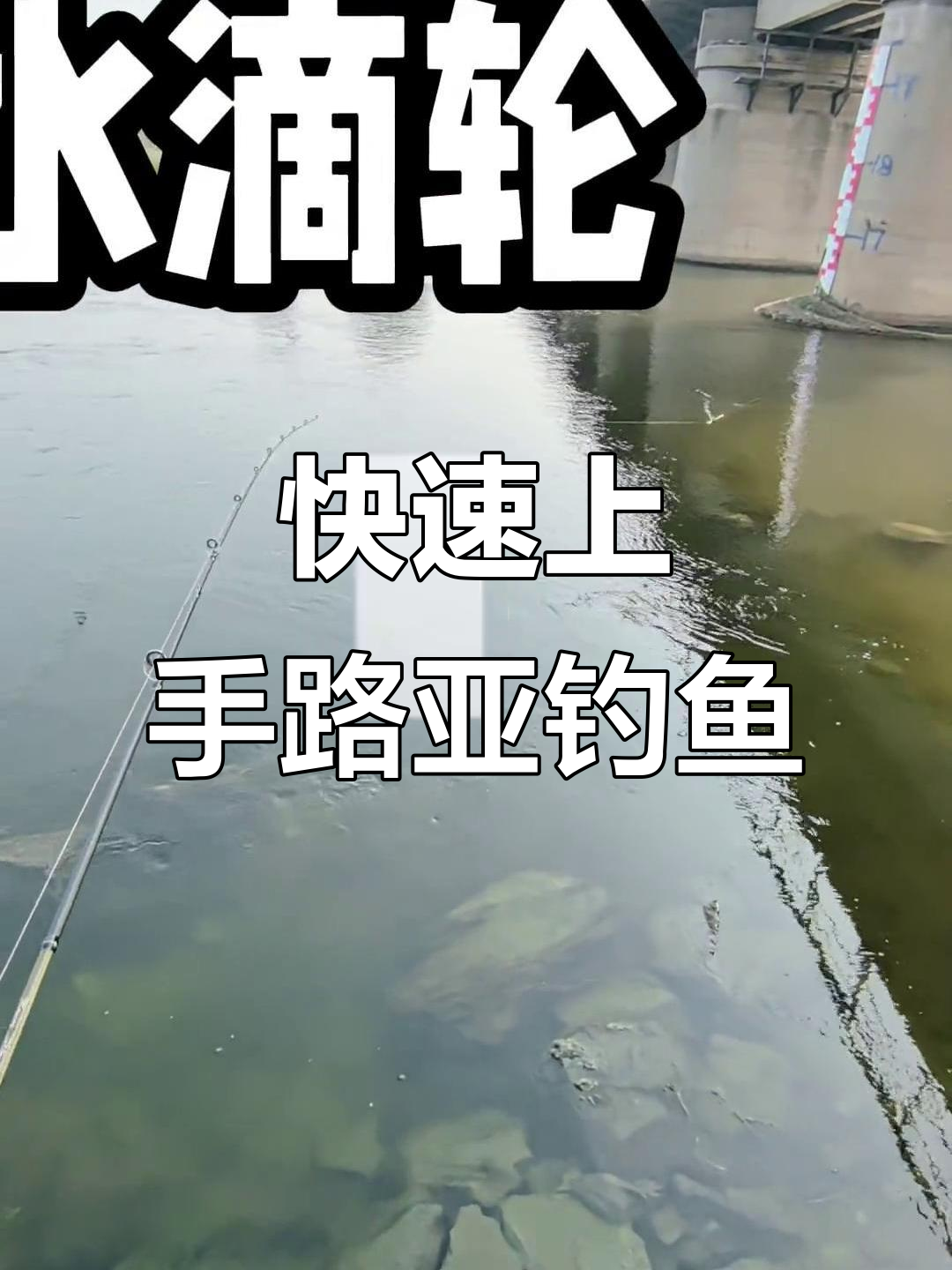 路亚新手入门全攻略,从装备到技巧一网打尽