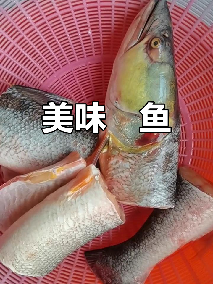 鱤鱼,淡水鲨鱼肉质鲜美,适合多种烹饪方式