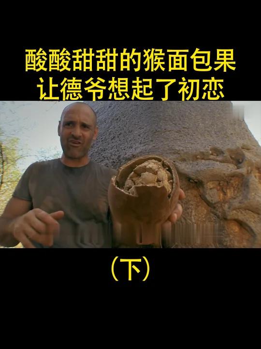 德爷吃到猴面包果,酸酸甜甜如初恋(下)