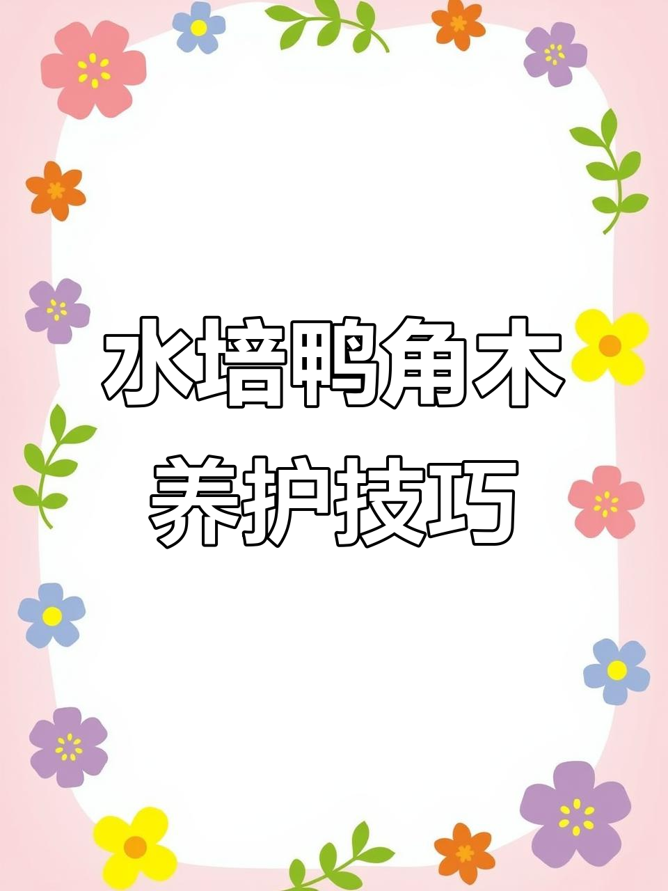 鸭脚木水培生根,七到十天就能正常生长