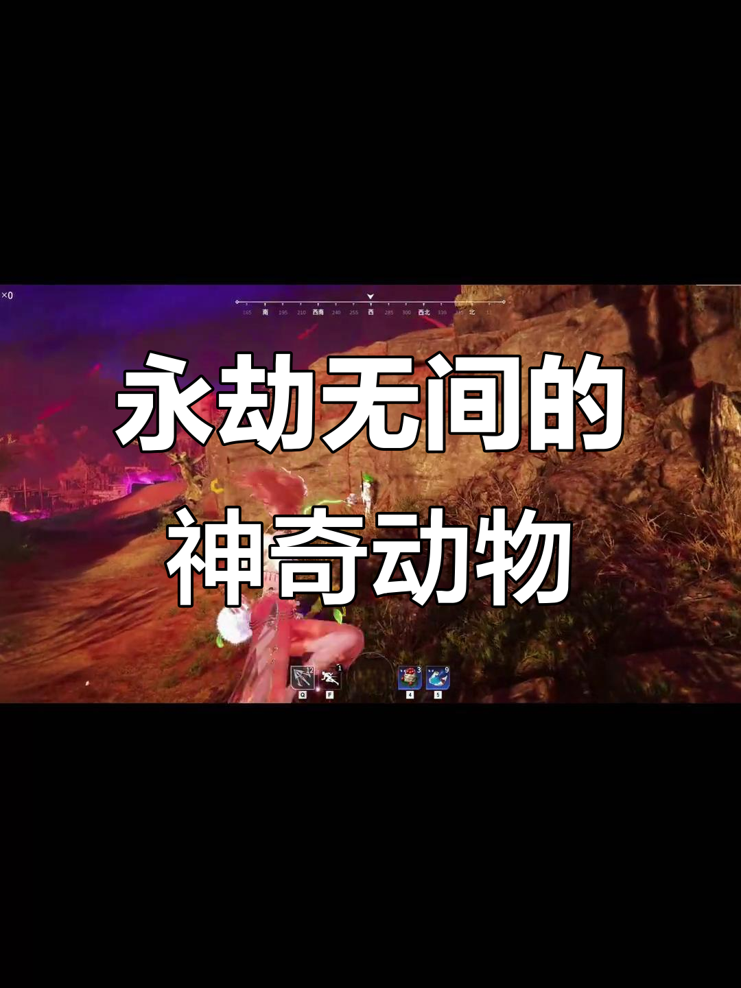 永劫无间中的神秘动物大揭秘，凤凰鱼和夜宝宝来袭！