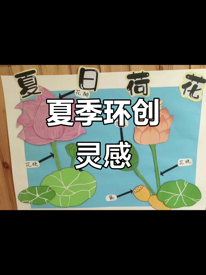 夏天主题墙,创意满满!快来收藏吧!