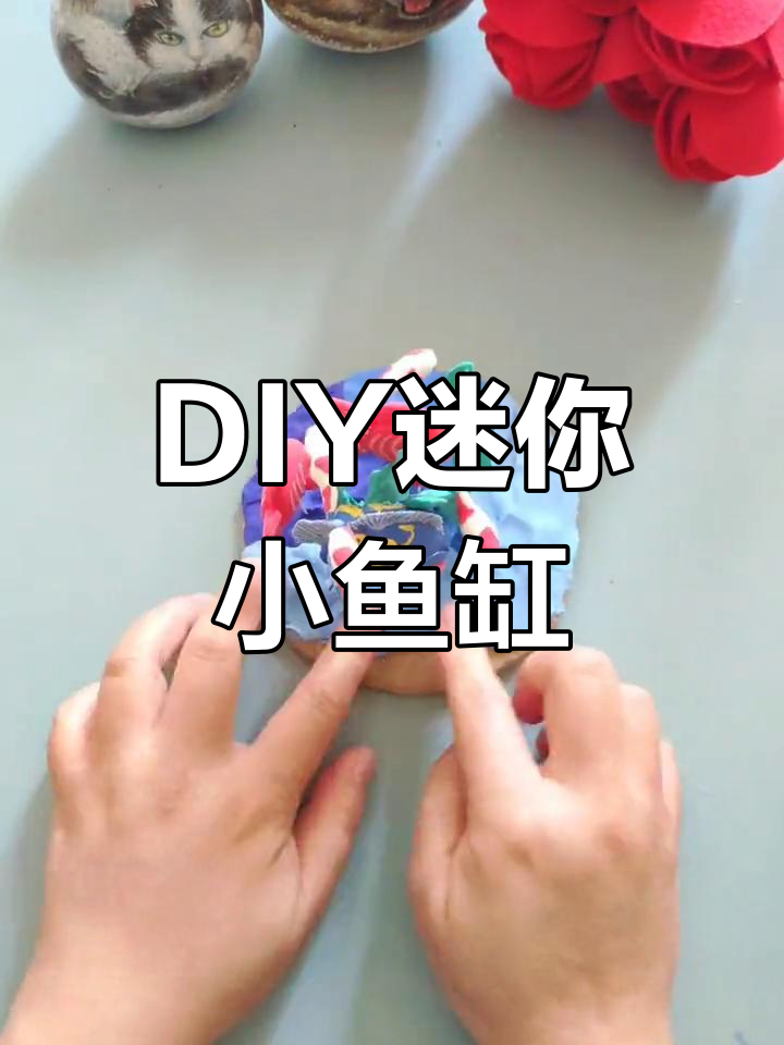 废物利用做迷你鱼缸,打造海洋小世界