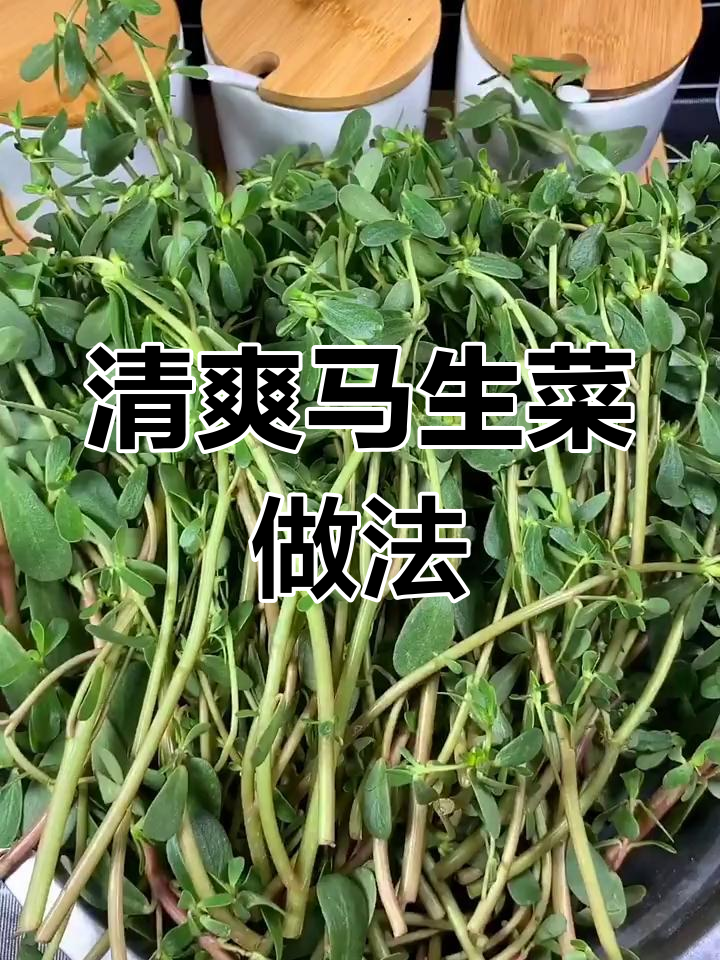 马生菜焯水后,加入蒜末、小米辣拌一拌,开胃又下饭