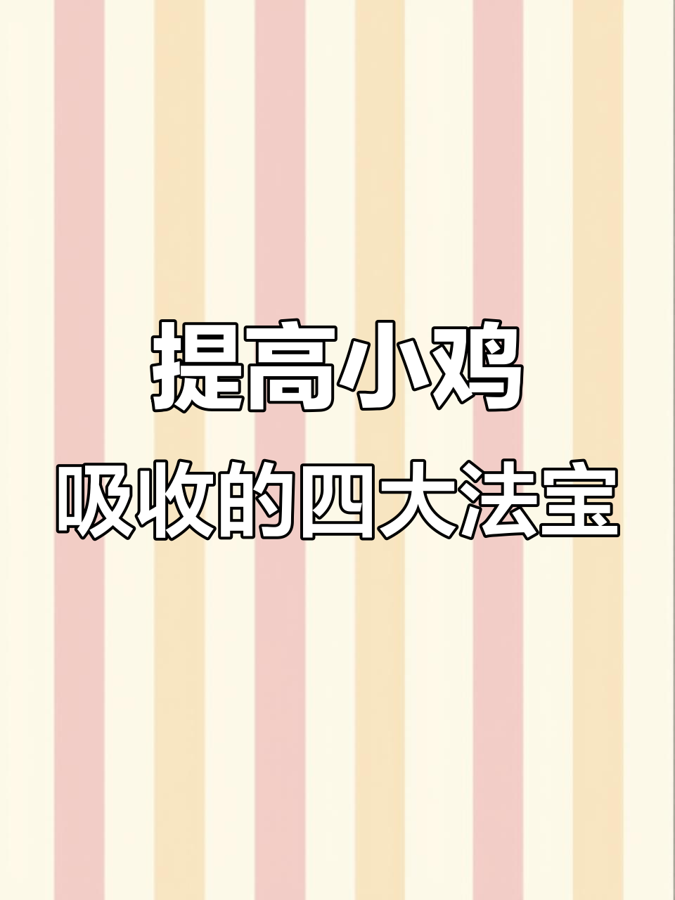 小鸡出壳后如何科学喂养?四个关键技巧助健康生长