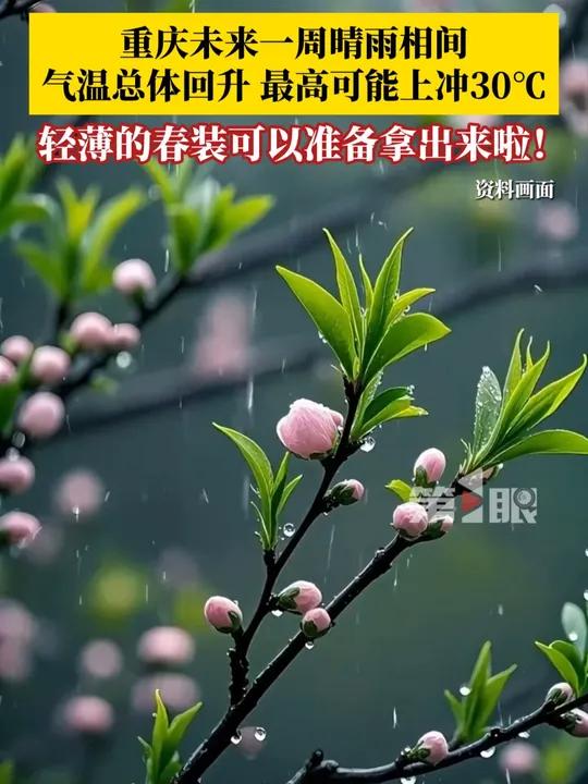 重庆未来一周晴雨相间,气温总体回升,最高可能上冲30℃!衣柜里轻薄的春装可以拿出来啦!#媒