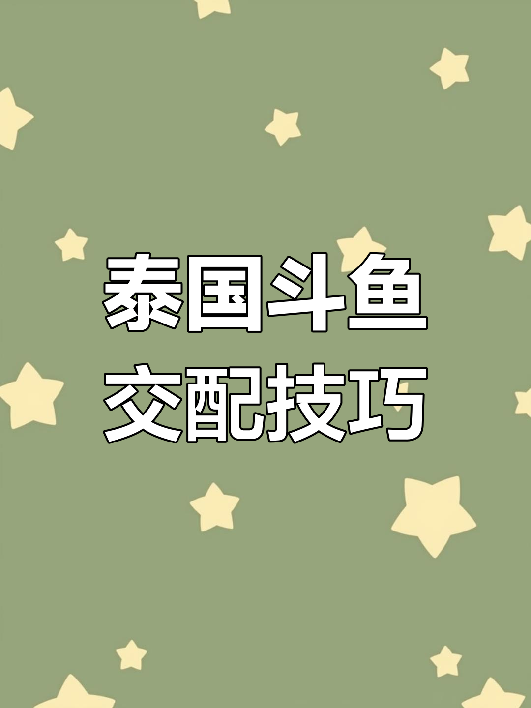 泰国斗鱼配对与繁殖全过程,轻松学会如何照顾它们