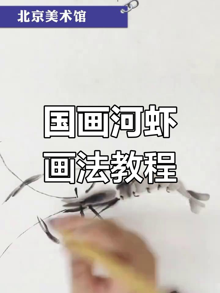 画国画河虾的技巧与步骤,掌握水墨画的灵动之美