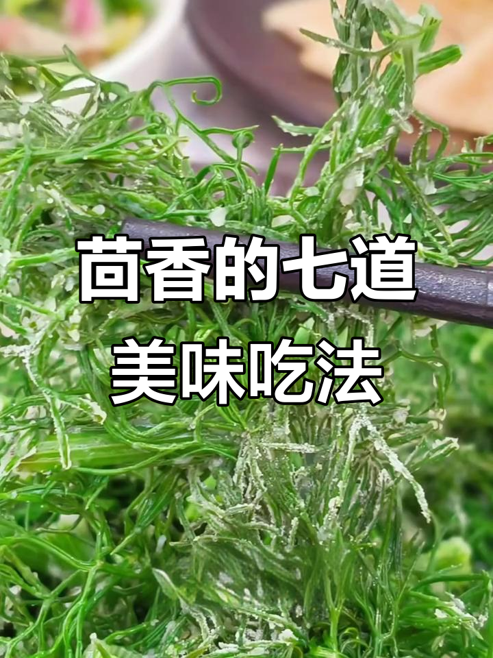 茴香的美味七种做法,轻松解锁百般滋味