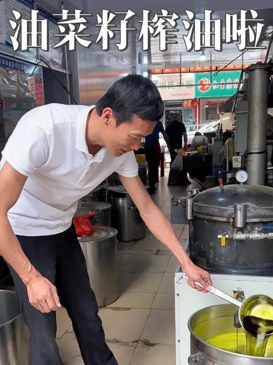 油菜收籽榨油啦 你知道菜籽油怎么来的吗#纯天然无添加 #星乡村星农人 #dou来广东百千万