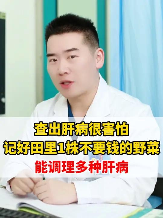 查出肝病很害怕,记好田里一株不要钱的野菜,能调理多种肝病!