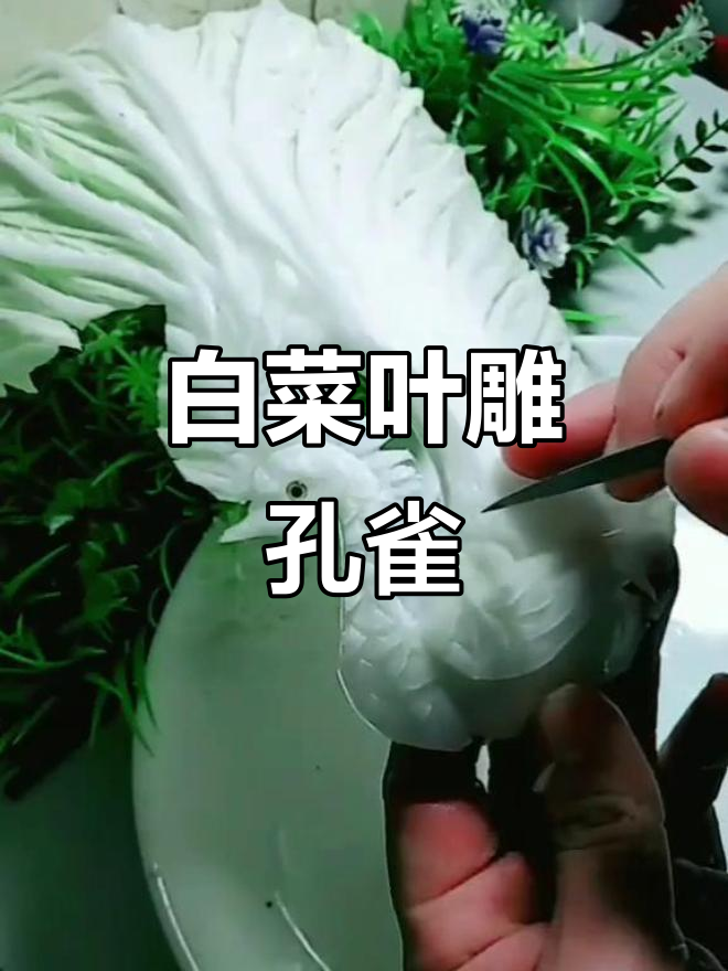 用白菜叶雕出栩栩如生的孔雀,创意满满!