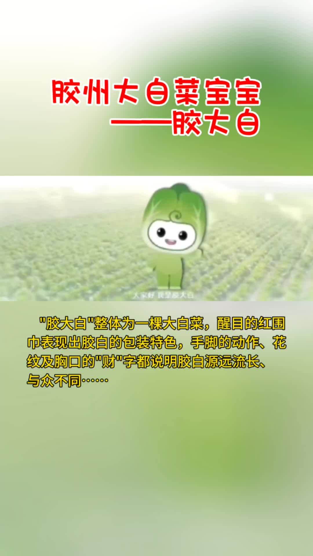 胶州大白菜 胶州大白菜形象“胶大白”说明,胶州大白菜,山东省青岛市胶州市特产,全国农产品地
