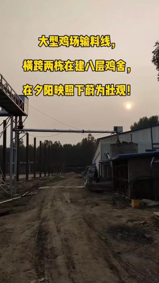 金璧盛蛋鸡养殖设备自动化鸡笼安装现场
