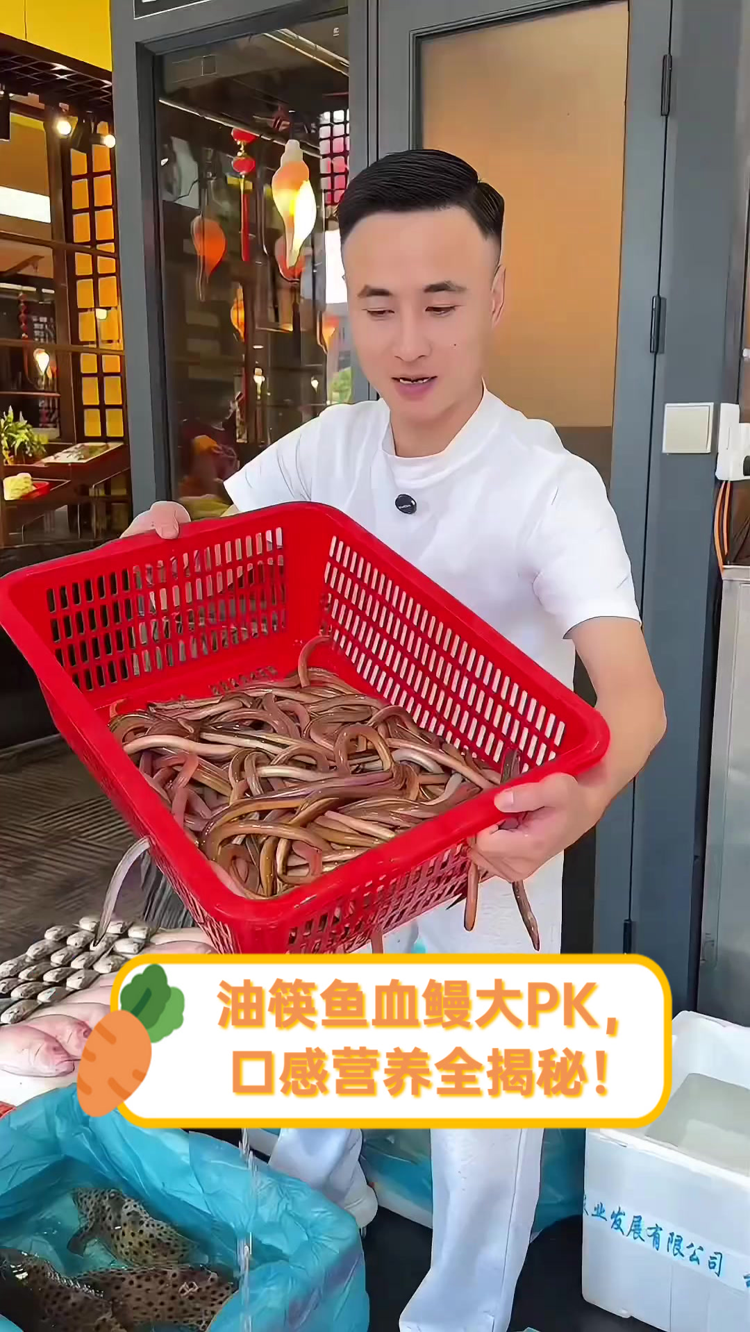 油筷鱼血鳗大PK,口感营养全揭秘!