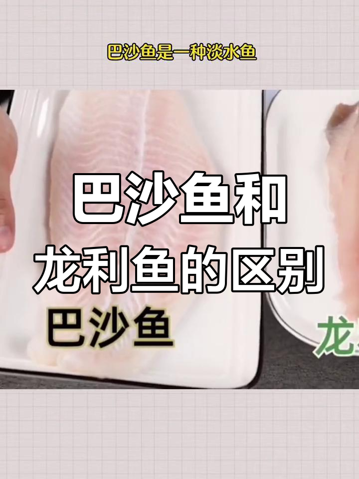 龙利鱼与巴沙鱼的营养差异解析