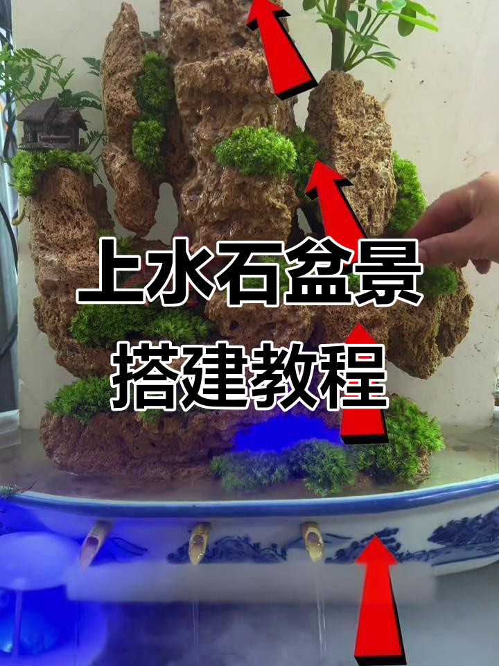 古法养鱼缸安装全流程,打造生态微景观
