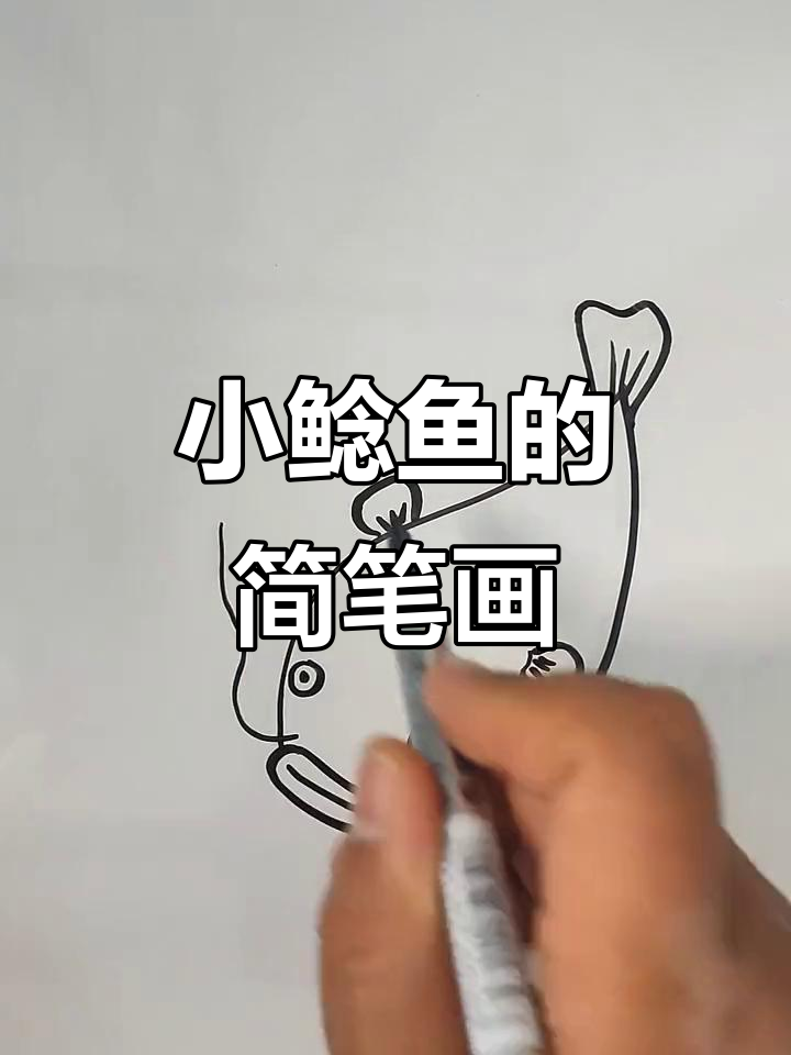 轻松学画胖乎乎的小鲶鱼，简单又有趣