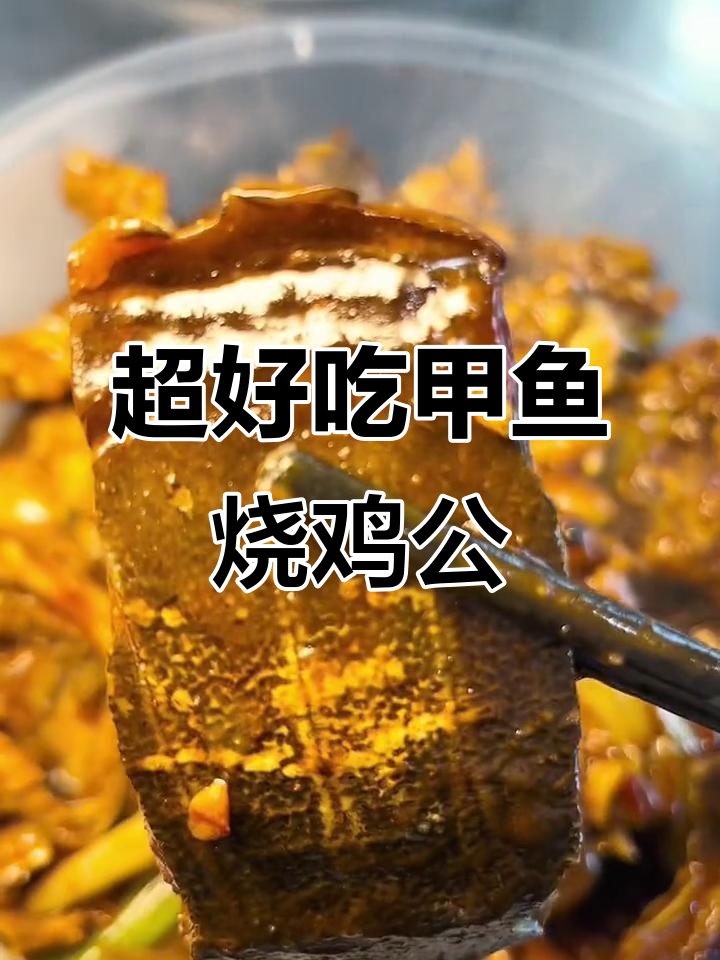 甲鱼烧鸡公,真材实料的美味享受