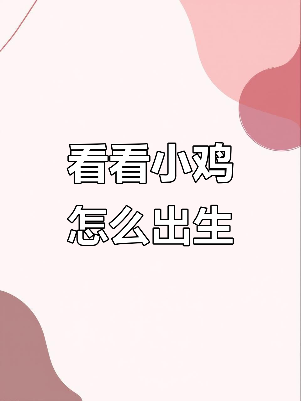 小鸡出壳全过程,竟然这么有趣!