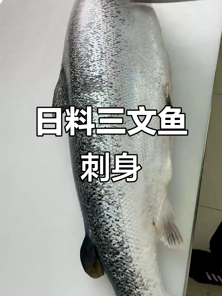 三文鱼刺身中段,日料一哥的经典美味
