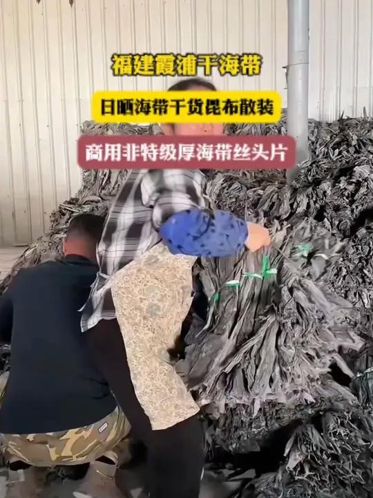 海带干货大降价,夏天多吃海带好处多多 海带 干海带 海带干货 海带 经济实惠好吃不贵