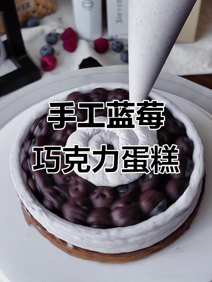 亲手制作蓝莓巧克力蛋糕,酸甜浓郁,层次丰富!