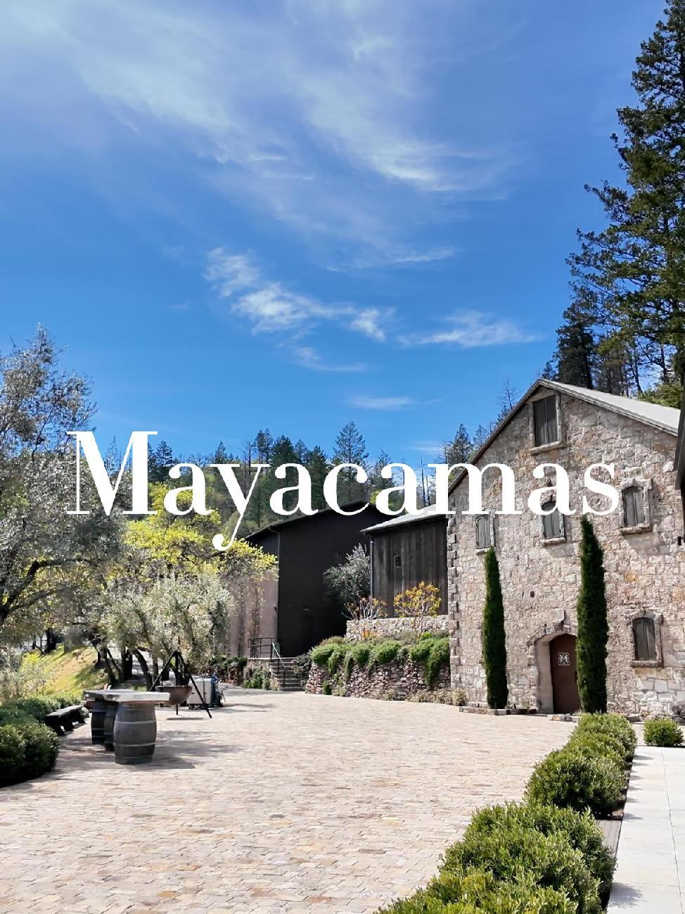 美国加州纳帕谷 Mayacamas 酒庄 napago 纳帕谷 酒庄 美国葡萄酒