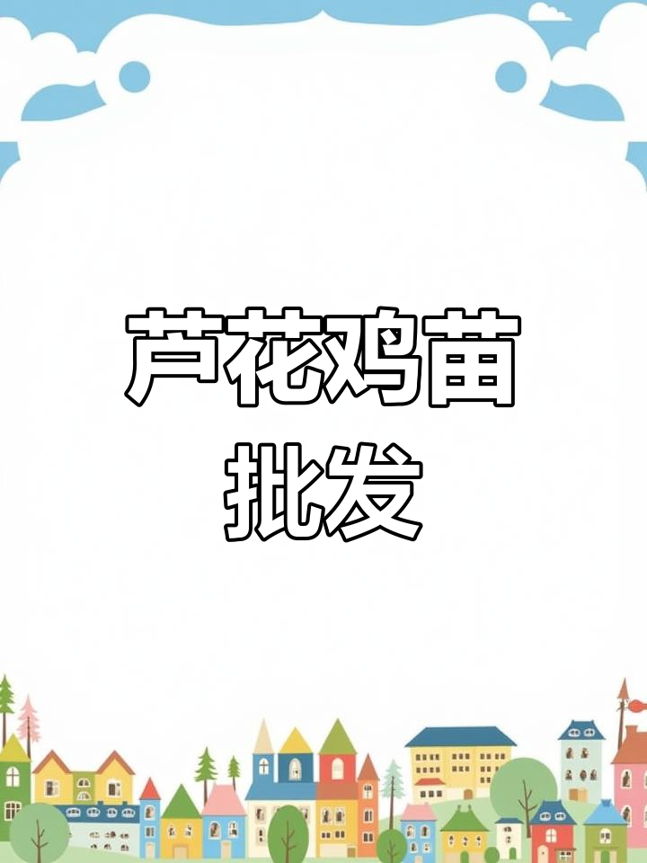 芦花鸡苗全年供应,蛋肉兼用型品种助力养殖事业