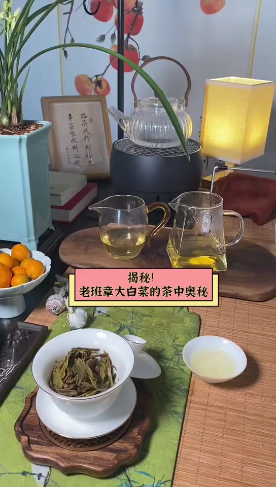 揭秘!老班章大白菜的茶中奥秘