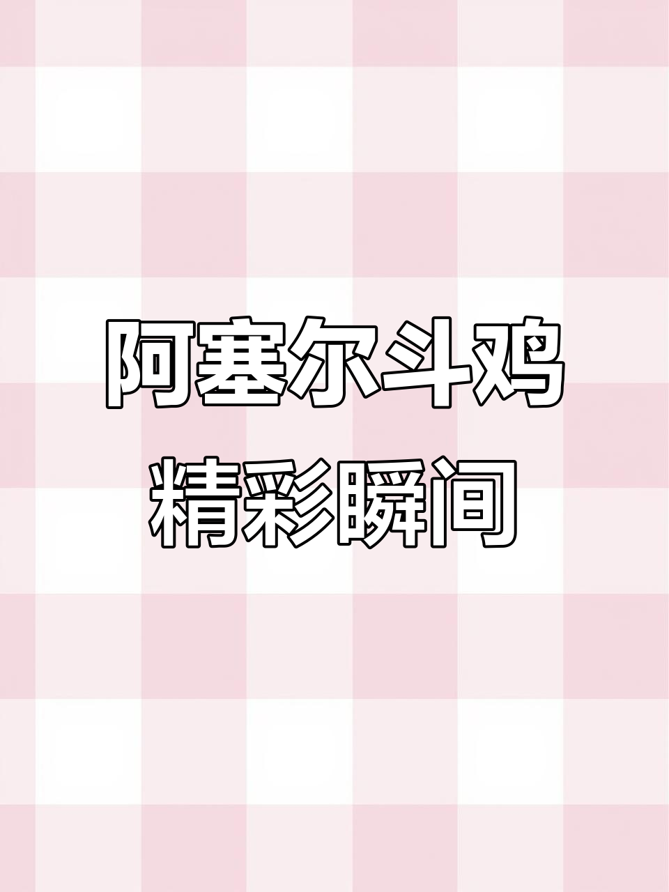 印度阿塞尔斗鸡大赛：观赏鸡的激烈对决