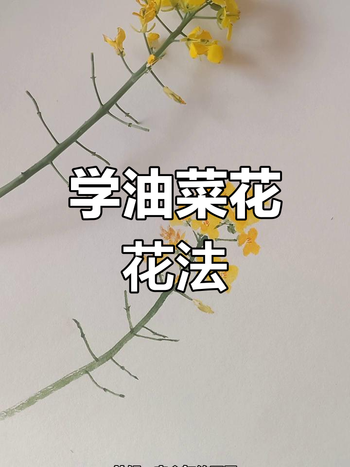 油菜花画法:从零基础到国画高手,画出生命与希望