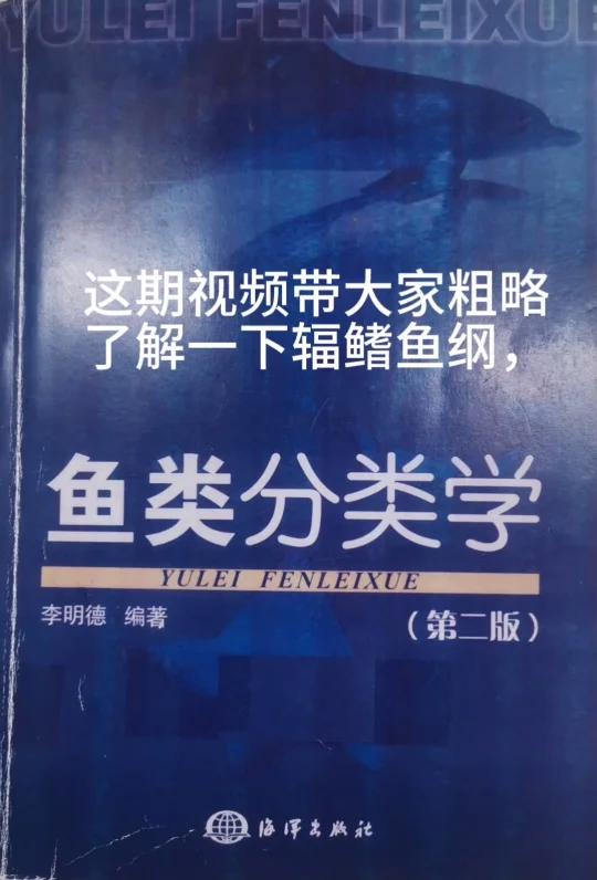 辐鳍鱼纲讲解