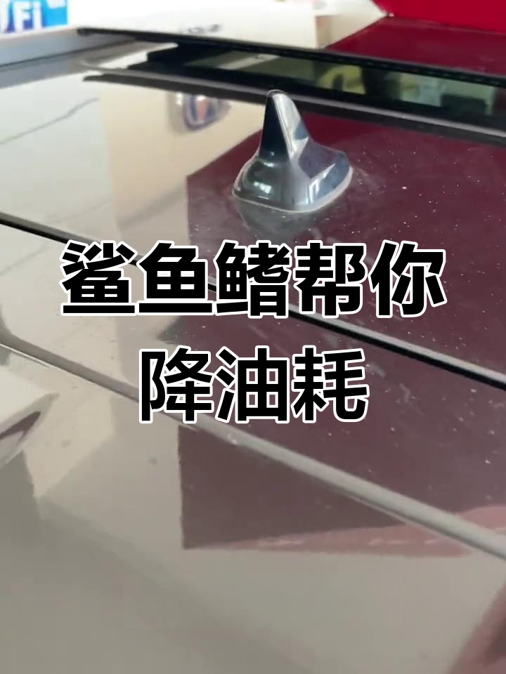 鲨鱼鳍的隐藏作用,让你的车更省油