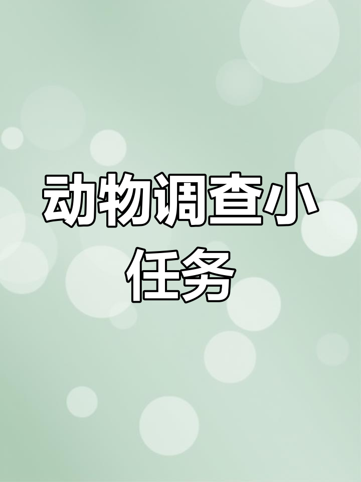 小动物调查表:探索幼儿园的动物乐园