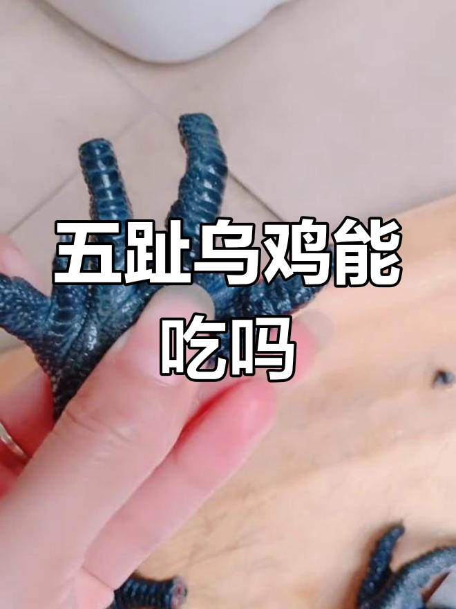 乌鸡竟然有五个脚趾?