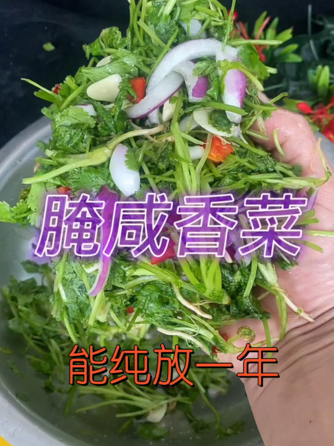 腌咸香菜做法