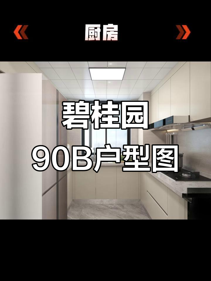 碧桂园90B户型图