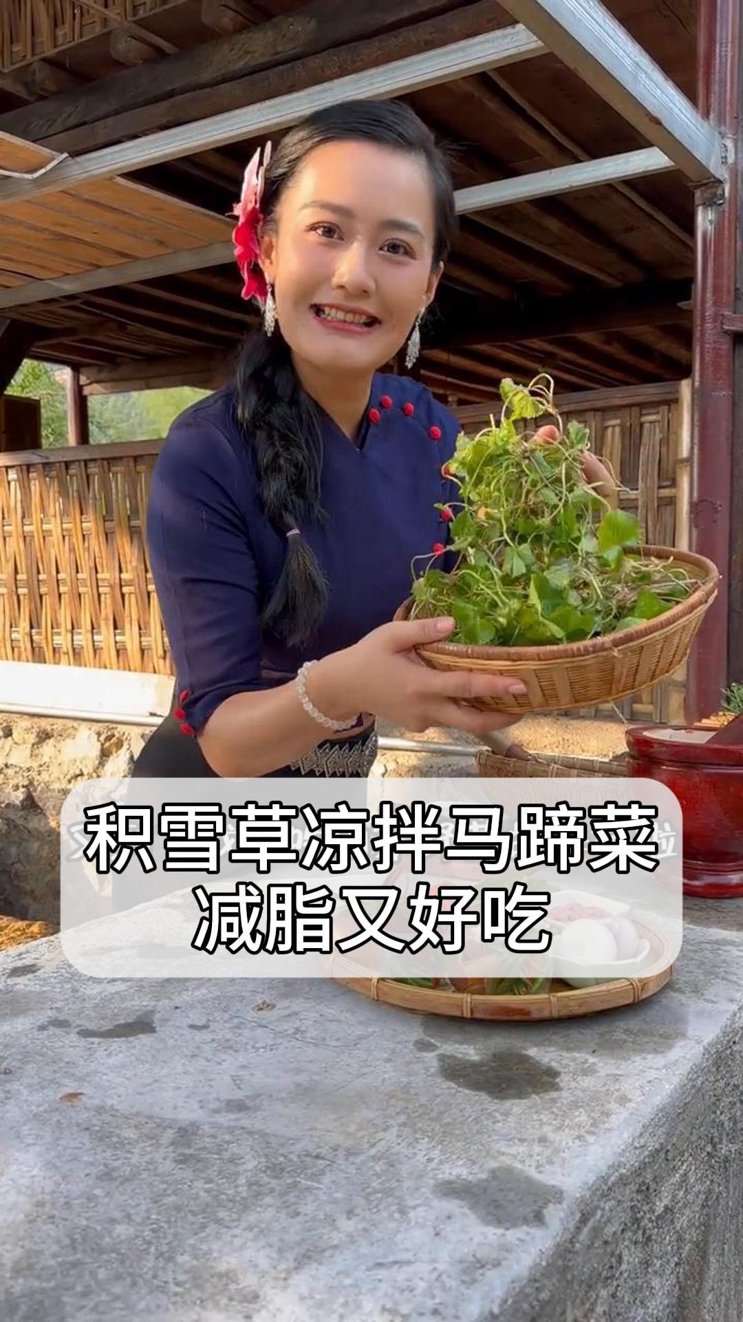 积雪草凉拌马蹄菜,减脂又好吃