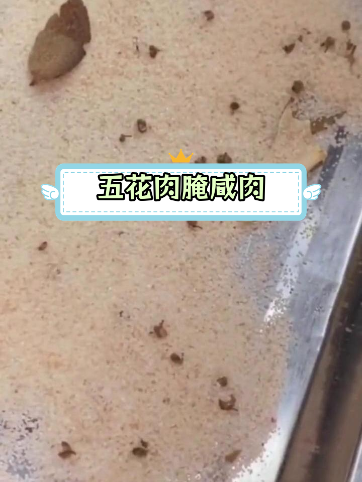 自制咸肉,五花肉的完美腌制方法