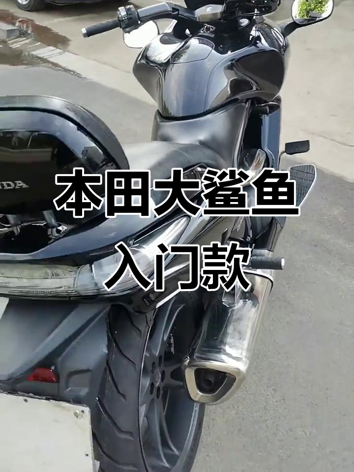 本田大鲨鱼:超低坐姿,轻松上手的手自一体摩托车