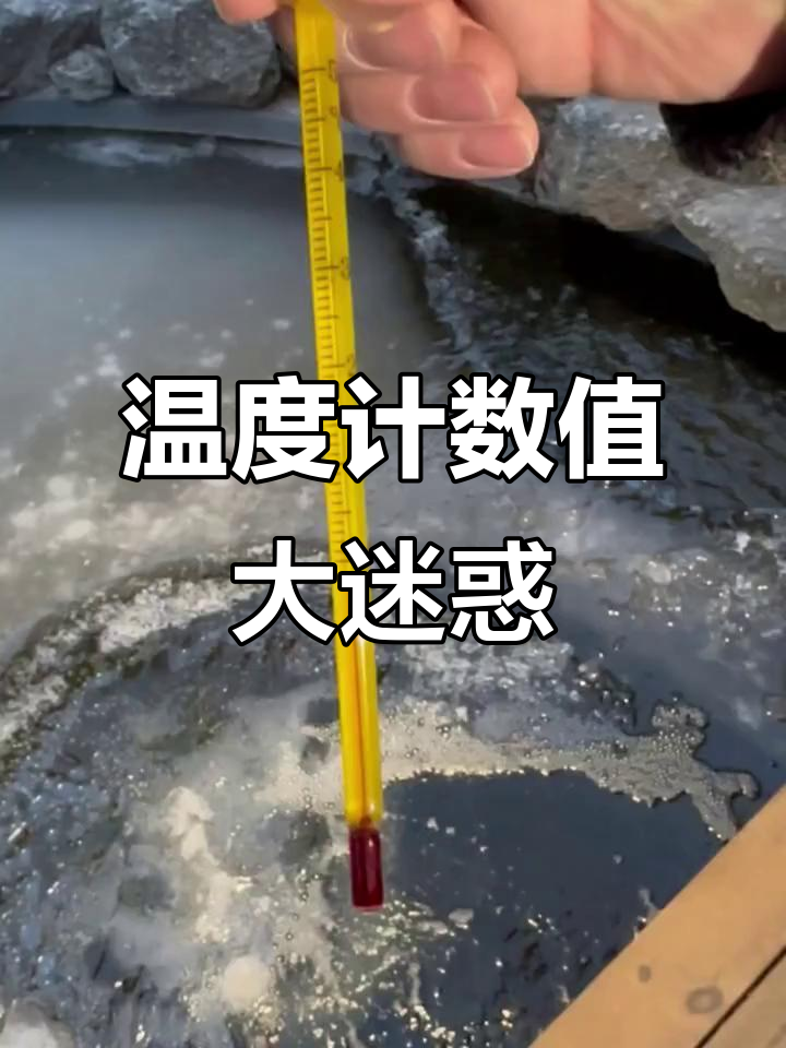 网购温度计显示零下,鱼缸测试却正常?