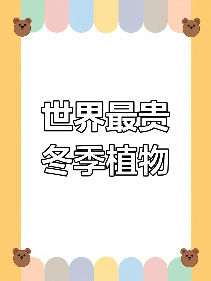 世界上最昂贵的多肉植物,你绝对想不到!