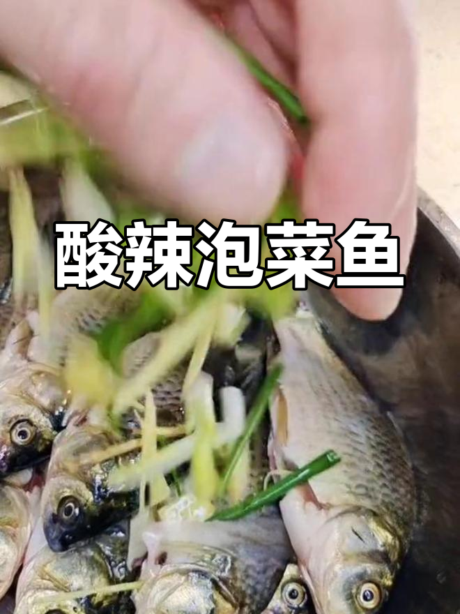 酸辣泡菜鲫鱼,开胃又下饭