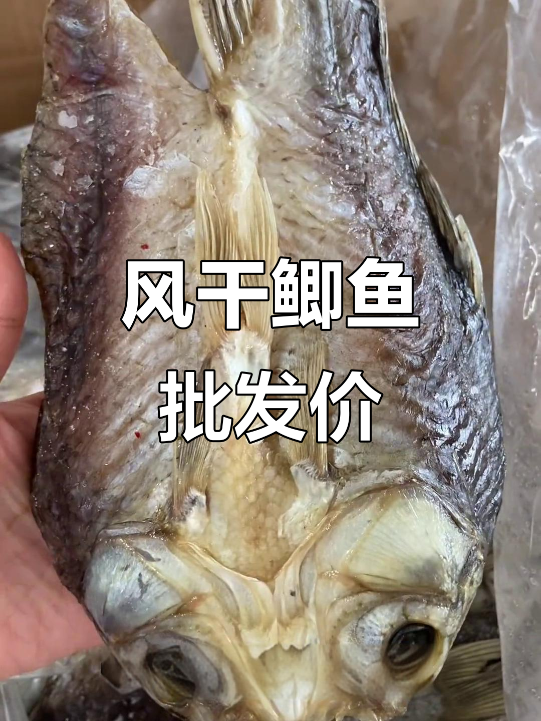 武汉白沙洲批发市场风干鲫鱼价格,酒店必备大号冻品