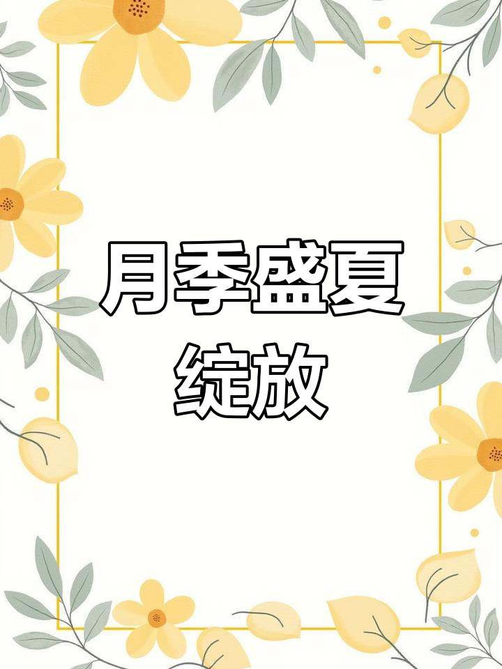 蜜语月季,夏季也能绽放如春,成就满满!