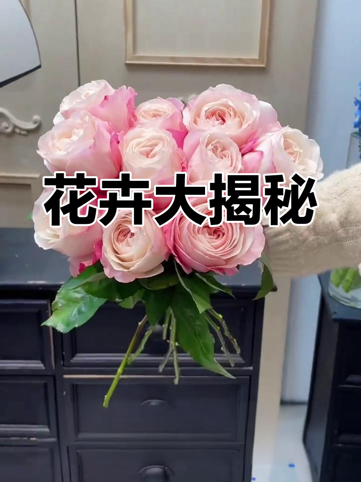 认识新花种,几十个品种等你探索!
