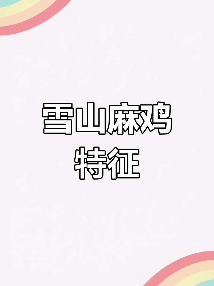 雪山麻鸡,红黄羽、活力强,体型适中,抗逆力出色