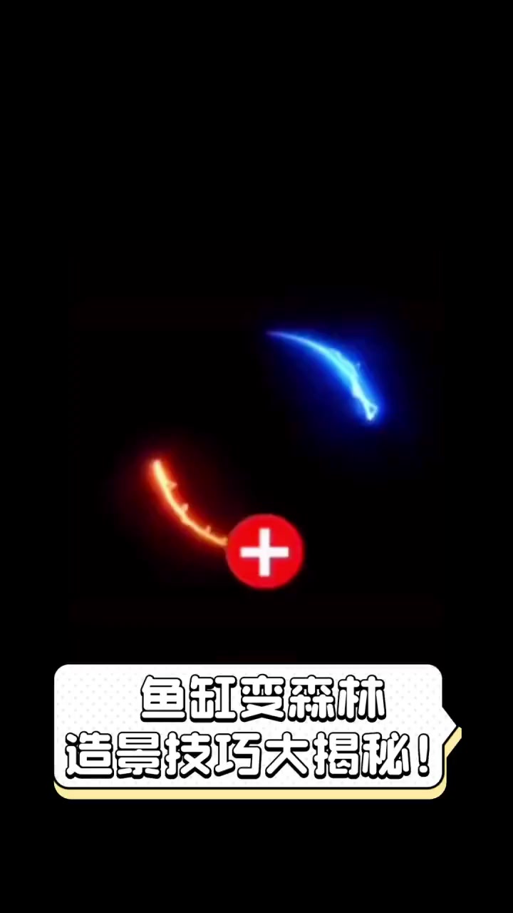 鱼缸变森林,造景技巧大揭秘!